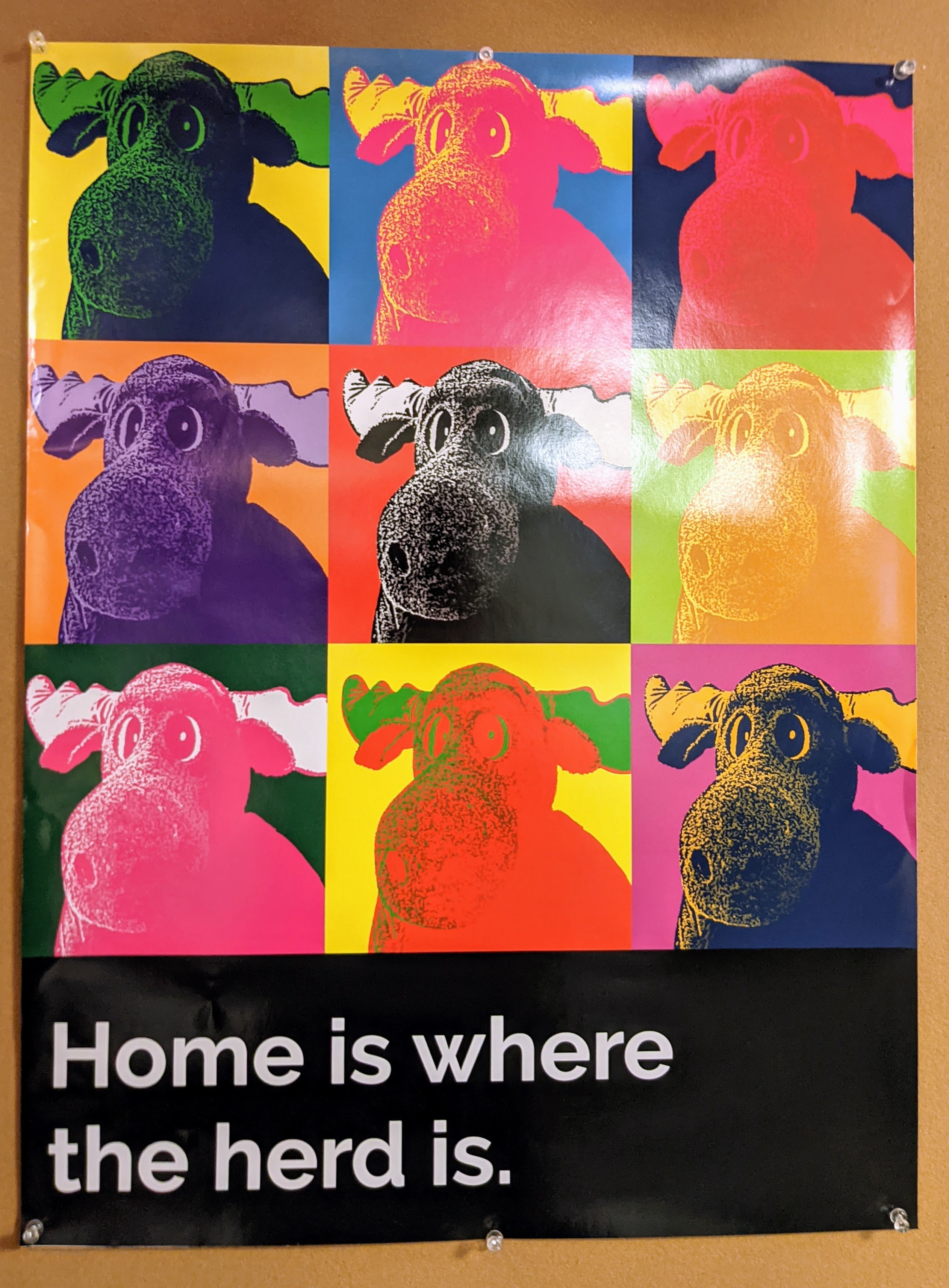 A poster outside the Stiles dining hall reads, "home is where the herd is." 